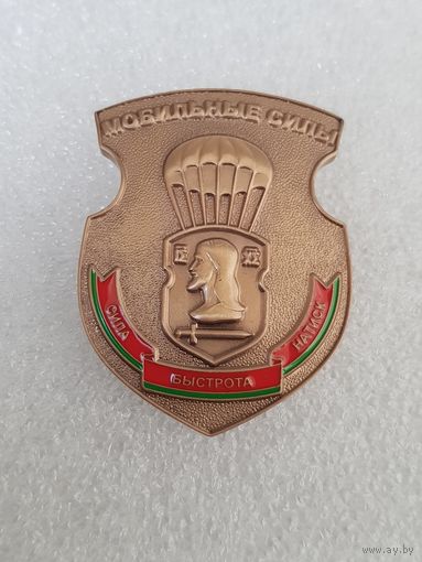 317 отдельная мобильная бригада Беларусь