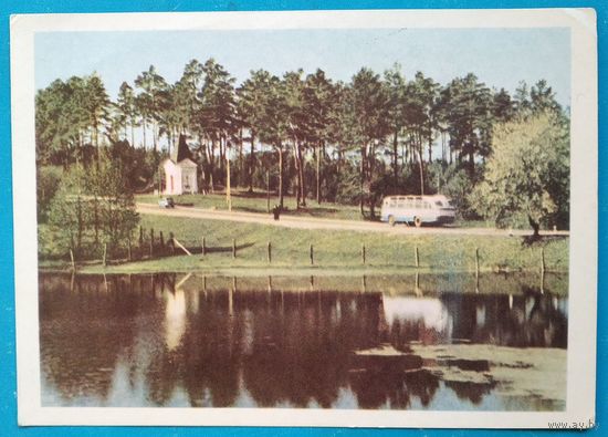 Могилевская обл. Памятник в честь событий 1812 г. под Салтановкой. 1967 г. Чистая