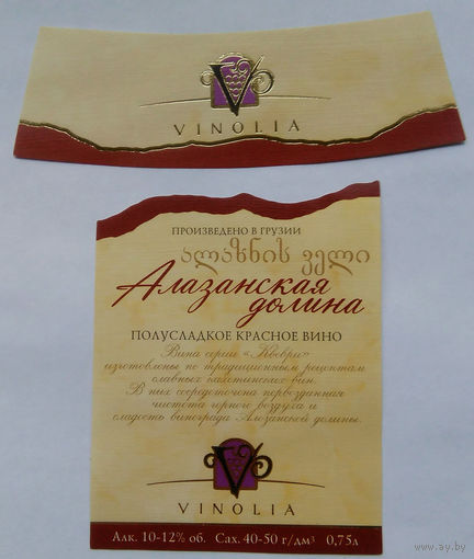 Этикетка. винная.Грузия.2000-2002 год. 0122.
