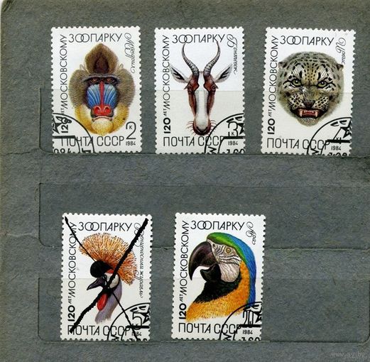 СССР, 1984, 125 лет московскому зоопарку  4м, 1984
