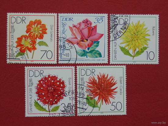 ГДР 1979г. Цветы.