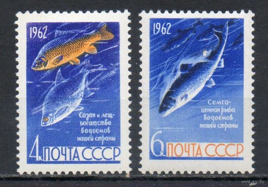 Рыбы СССР 1962 год (2732-2733) серия из 2-х марок