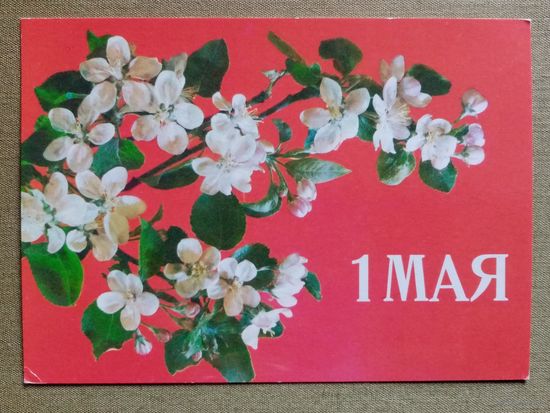 V Дергилев 1988 1 Мая! чистая