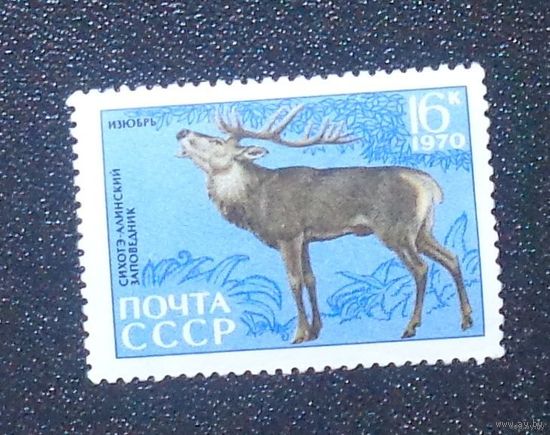 1970, август. 35-летие Сихотэ-Алинского государственного заповедника СССР