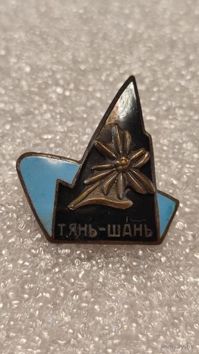 Значек знак Тянь-Шань Альпинист Альпинизм Скалолазание Горы Туризм тяжелый