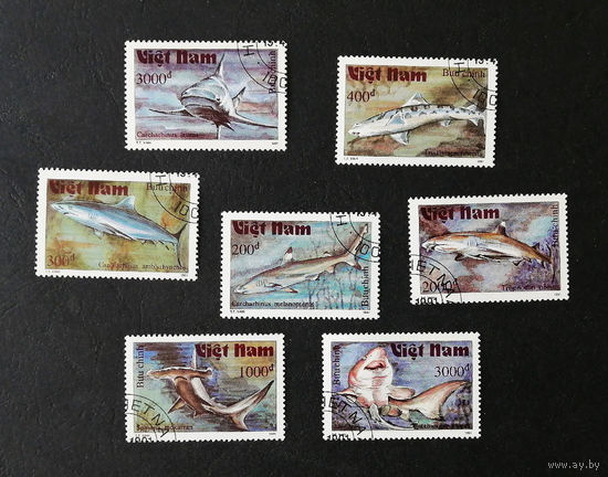 Вьетнам 1991 г. Акулы. Рыбы. Фауна, полная серия из 7 марок #0005-Ф1P2