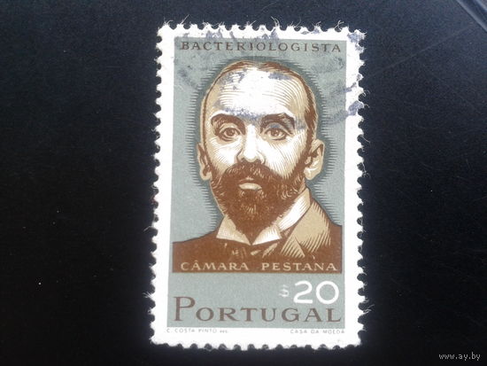 Португалия, 1966. Камара Пестана, бактериолог