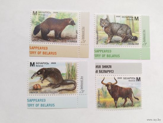 Беларусь  2025    4 м