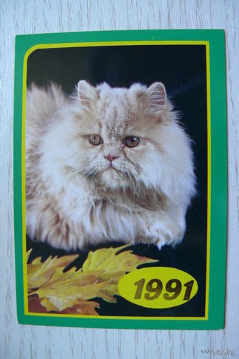 Календарик, 1991, Кошки.