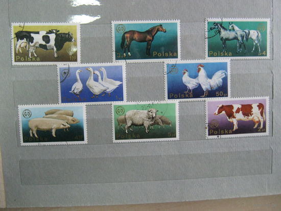 Марки - фауна, Польша, лошади, птицы и др.