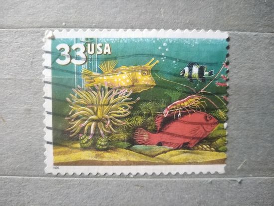 США. Фауна.