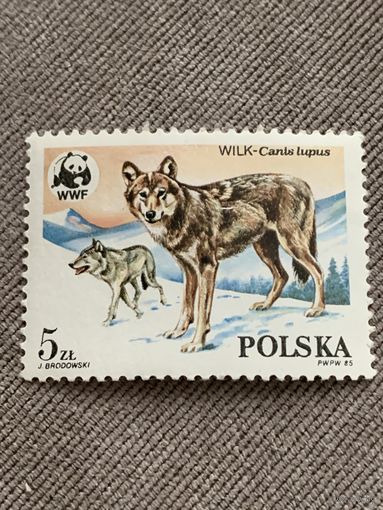 Польша 1985. Волки. Марка из серии