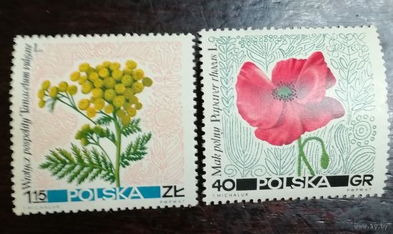 Польша 1967 Флора, цветы