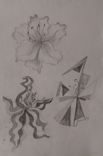 Зарисовка цветы
