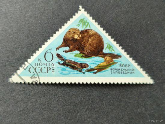 1973 СССР. Животный мир - Природные заповедники СССР. Евразийский бобр