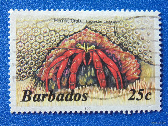 Барбадос. Морская фауна. 1986 г.