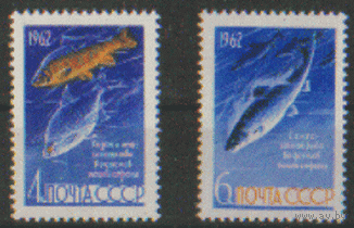 Заг. 2545/46. 1962. Рыбы. чиСт.