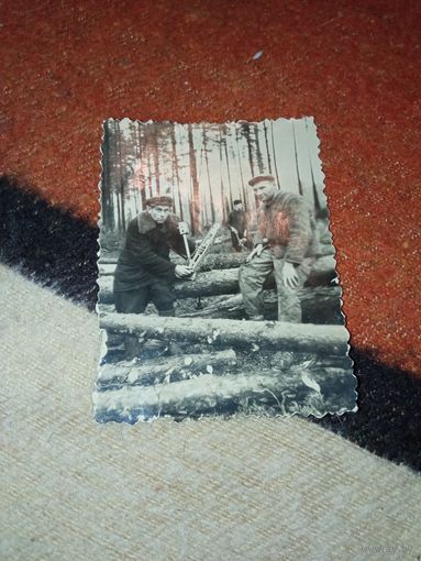 Лесоповал д.Колки