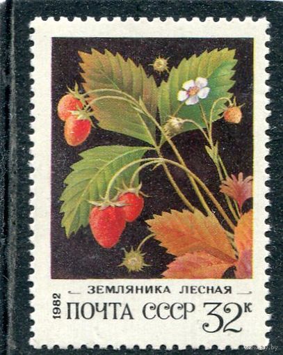СССР 1982. Флора. Ягоды. Земляника