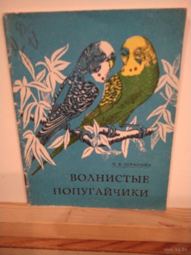 Волнистые попугайчики Советы