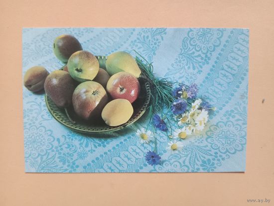 Открытка 1983