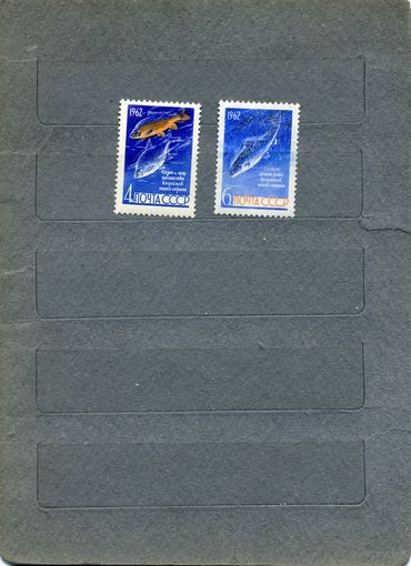 СССР, 1962, РЫБЫ,  *    серия, 2м