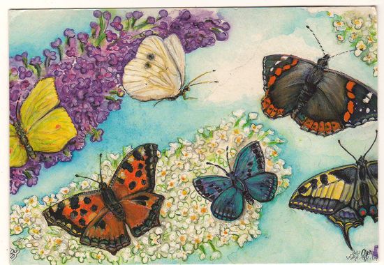 Посткроссинг. Открытка из Германии: бабочки (12,5х18). Прошла почту. Художественные марки, чёткий штемпель.