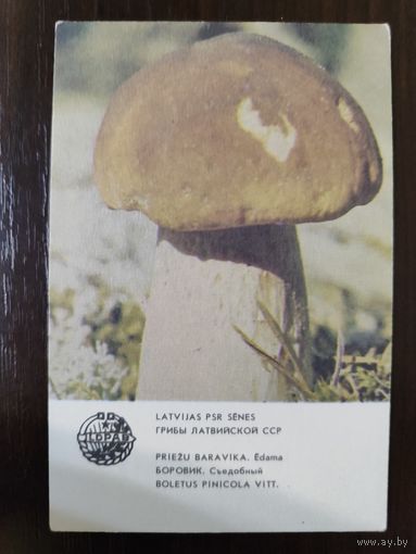 Календарик Прибалтика Боровик