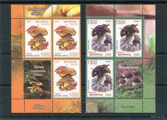 Беларусь 2008. Грибы. Квартблоки с купонами