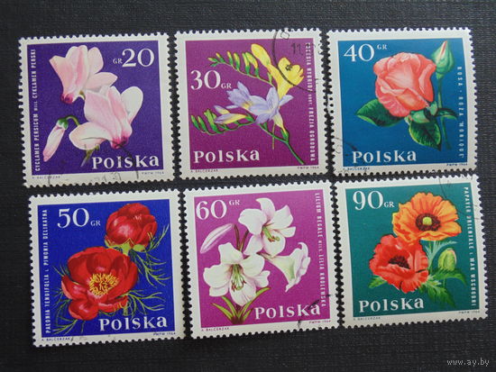 Польша 1964 г. Цветы.