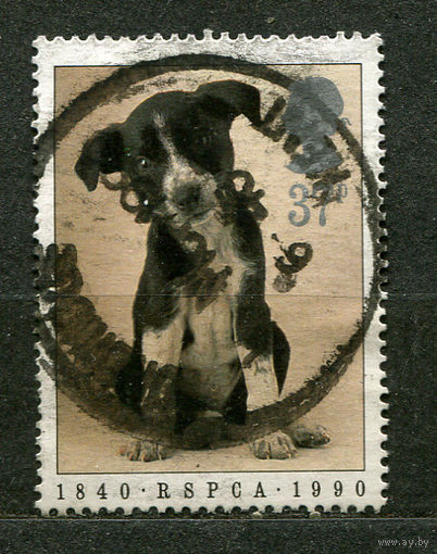Собака. Щенок. Великобритания. 1990