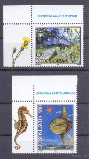 Югославия море океан  фауна
