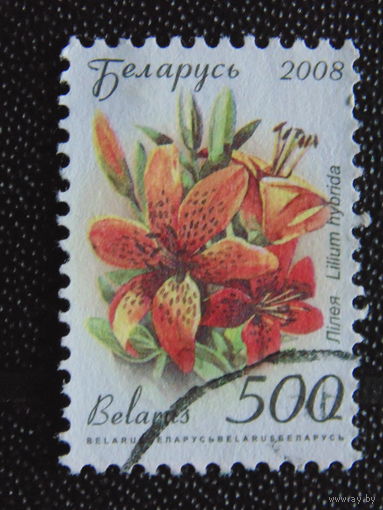 Беларусь 2008 г. Стандарт.