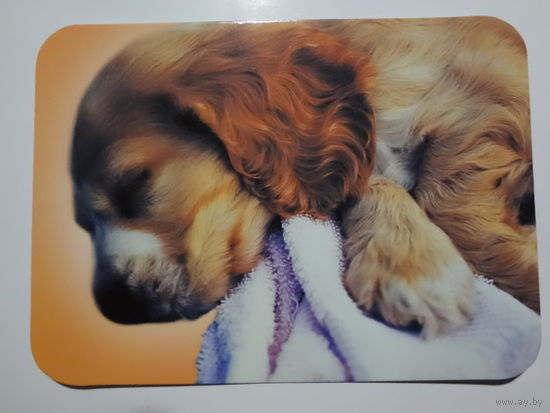 Календарик 2000 г. Спящий щенок.