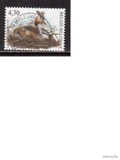 Бельгия-2006,(Мих. 3586) гаш. ,   Фауна, Птицы