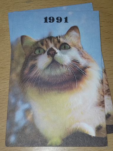 Календарик 1991 Эстония. Кошки. Коты