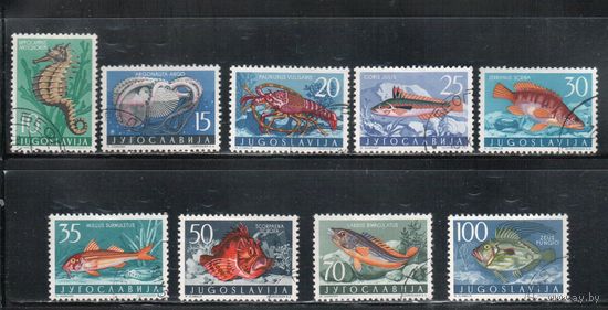 Югославия-1956(Мих.795-803) гаш.  , Морская фауна, Рыбы (полная серия)