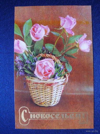 Фото Костенко Г., С новосельем! 1974, чистая.