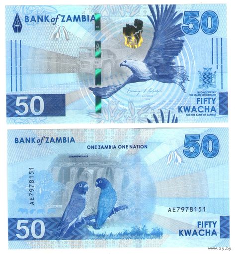 Замбия 50 квача 2024 год UNC  НОВИНКА