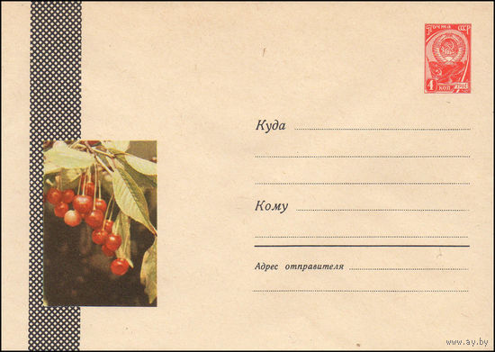 Художественный маркированный конверт СССР N 3236 (25.06.1964) Фото плодов вишниу