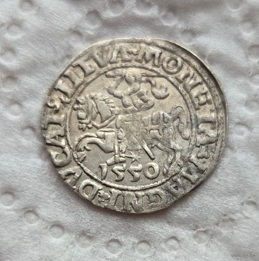Полугрош 1550