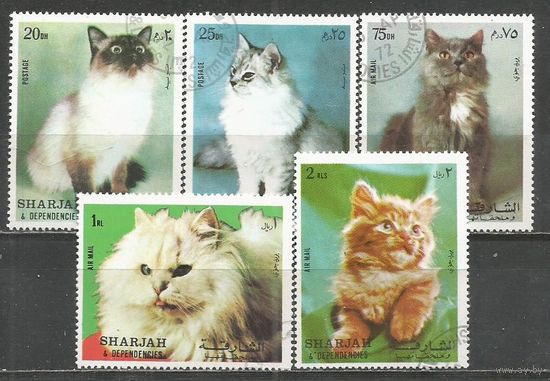 Шарджа. Кошки. 1972г. Mi#1030-34. Серия.