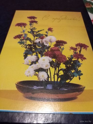 Открытка 1981г. Чистая.