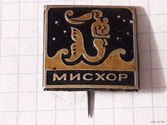 МИСХОР на иголке