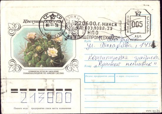 1990 год Гимнокалициум 4