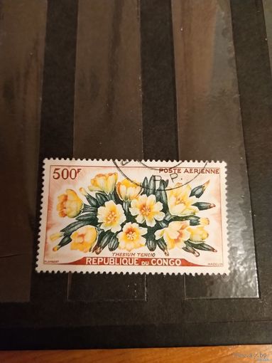 1964 Конго флора цветы дорогая концовка авиапочта (5-6)