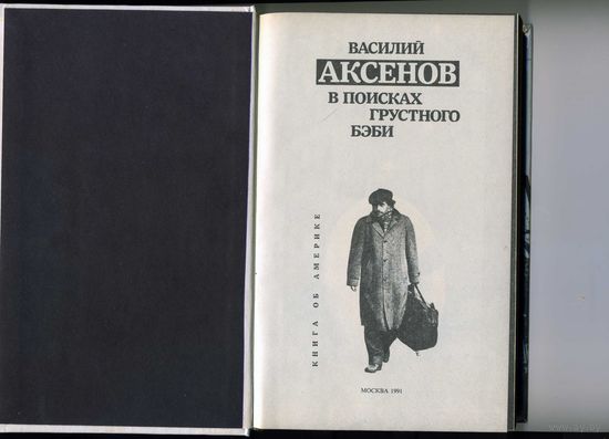 Книга В поисках грусного бэби