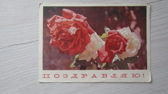 Открытка "Поздравляю!"