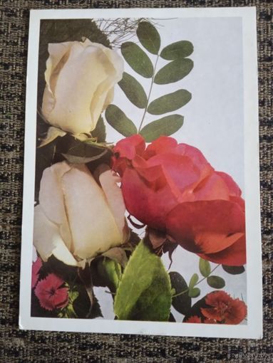 С днём рождения! Чистая. Двойная. 1977 года.худ САВАЛОВА