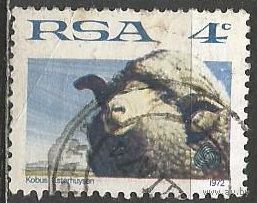 ЮАР. Баран. 1972г. Mi#412.